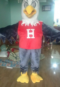 MASCOT LINH VẬT ĐẠI BÀNG