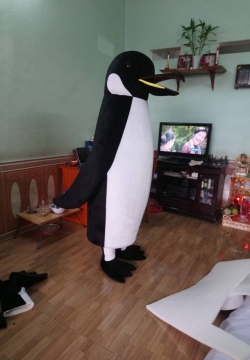 Mascot Chim Cánh Cụt