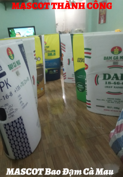 Mascot mô hình cái bao 
