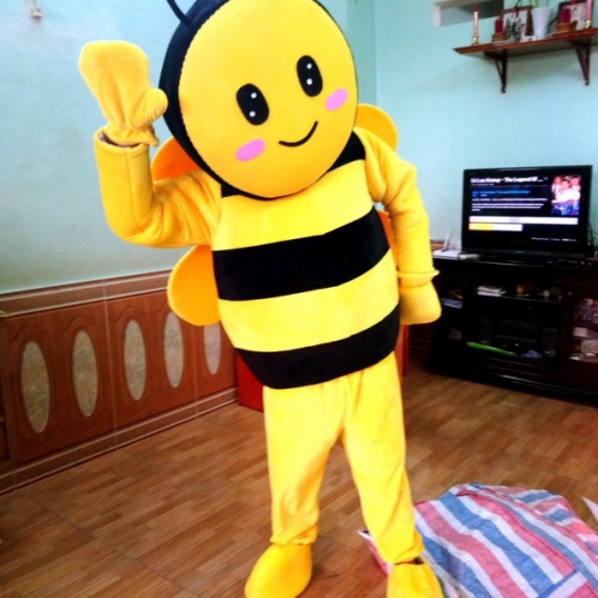 Mascot con ong