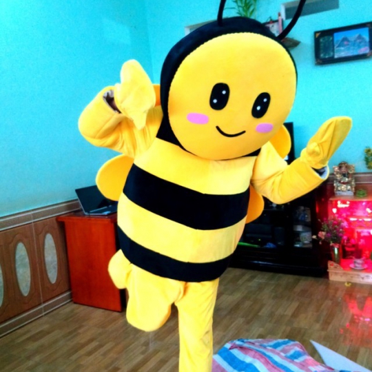 Mascot con ong