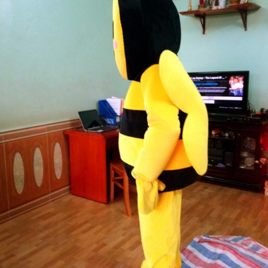 Mascot con ong