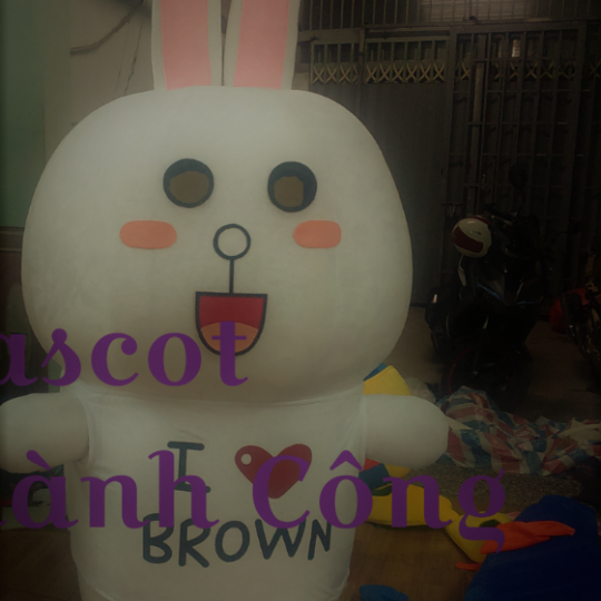 Mascot mô hình Thỏ CONY