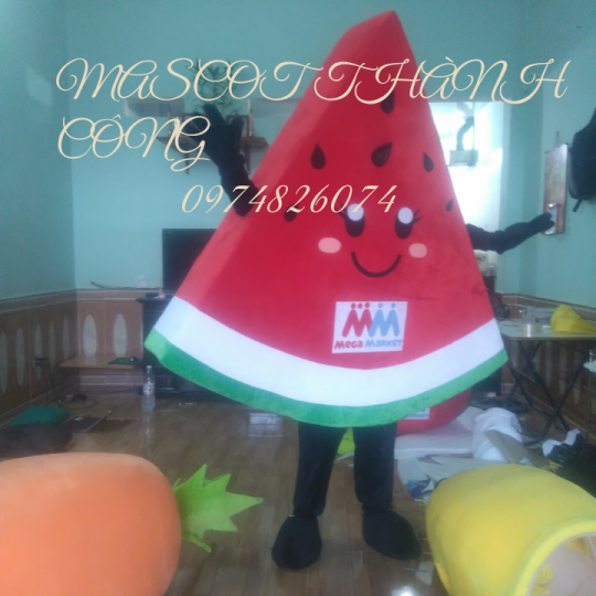 Mascot Mô Hình Dưa Hấu
