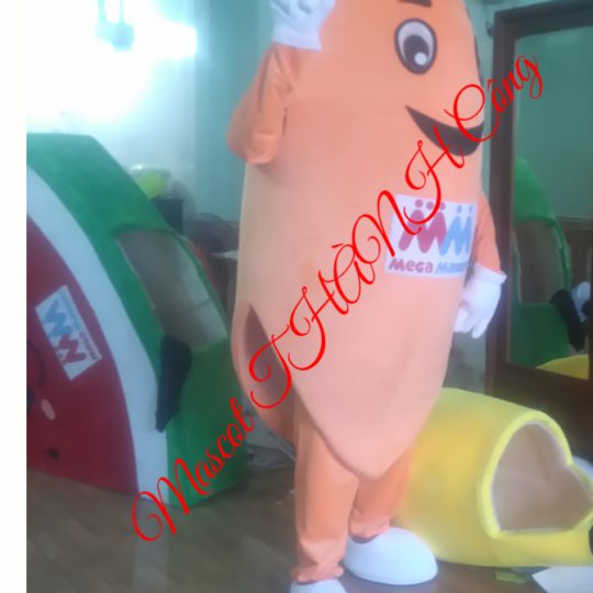 MASCOT MÔ HÌNH CA RÔT