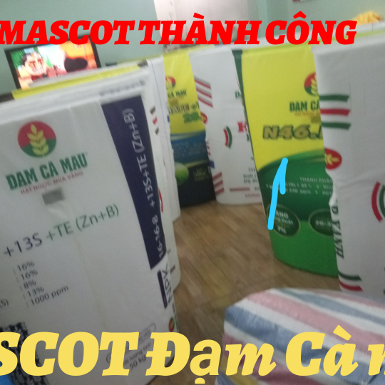 Mascot mô hình cái bao 